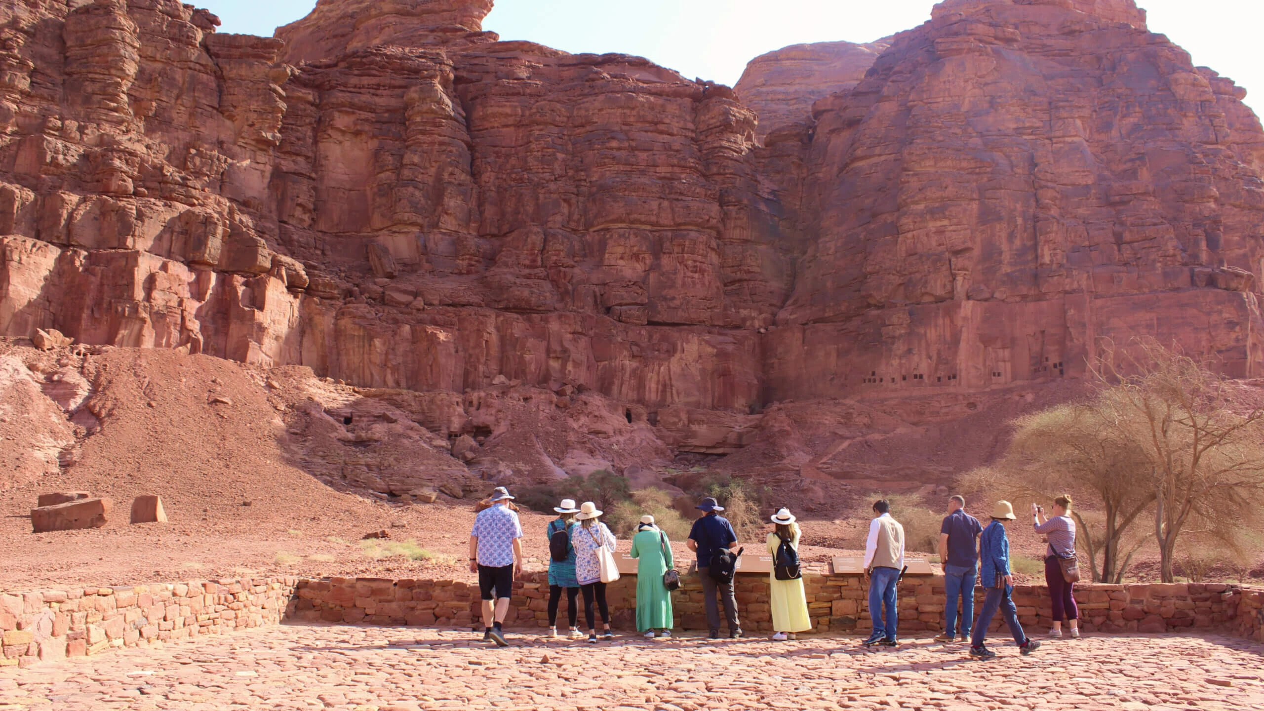 Design system et déclinaisons visuelles